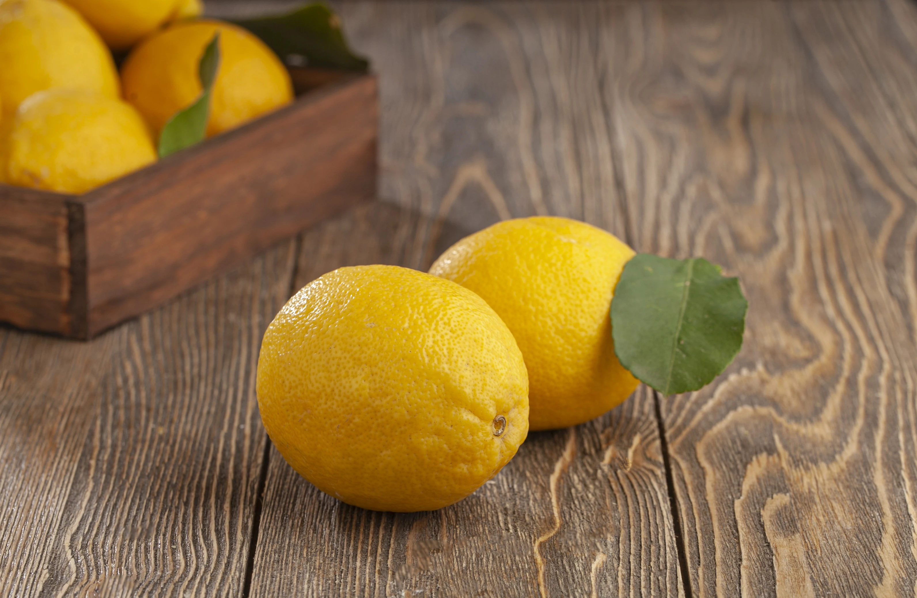 Новый Урожай из 100 органических сочных лимонов, больших лимонов, Свежие лимоны идеального качества, Сделано в Турции