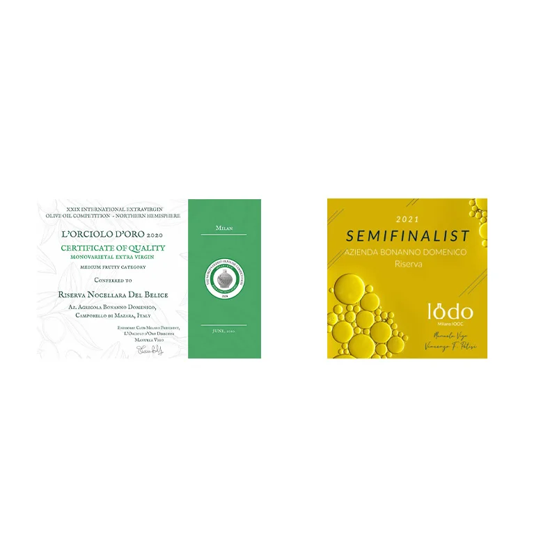 OEM Made in Italy best quality EVO olive oil  3 LT can  eith Spicy intensity and barely ready to ship