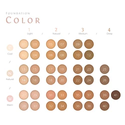 full coverage cushion BB foundation