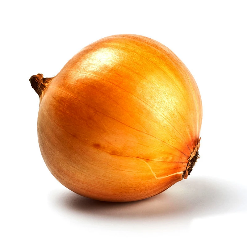 Fresh style yellow onion low price for export