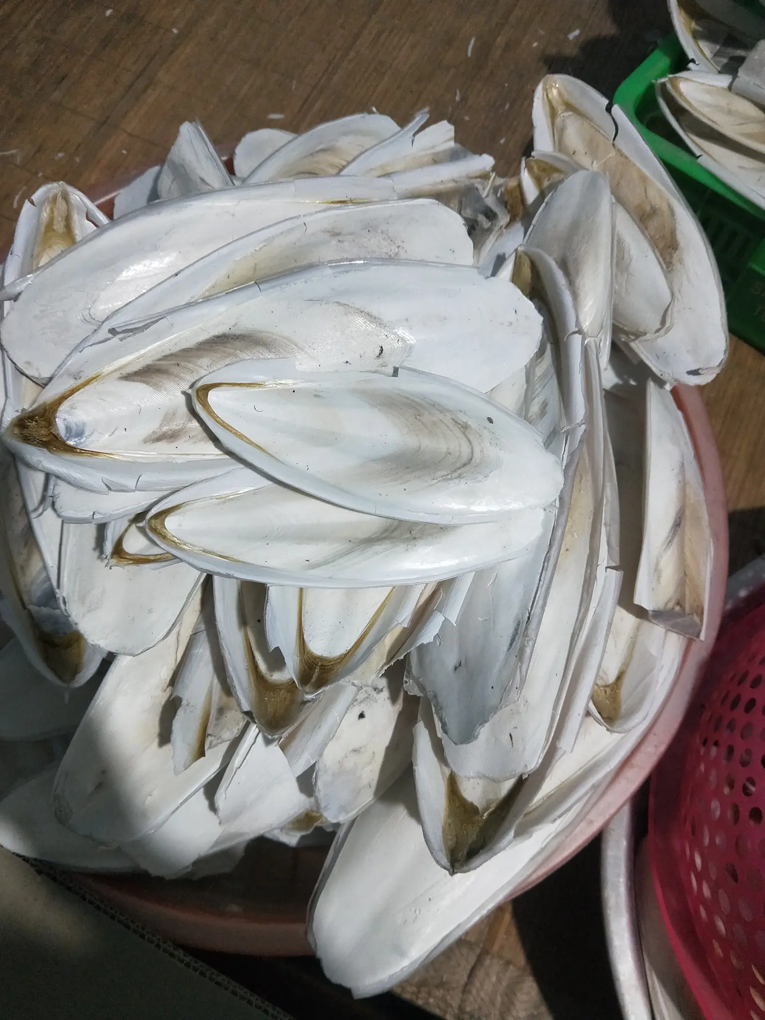 Лучшее качество кости для морской рыбы корма животных высокое 100% натуральная из Вьетнама сушеные косточки птиц