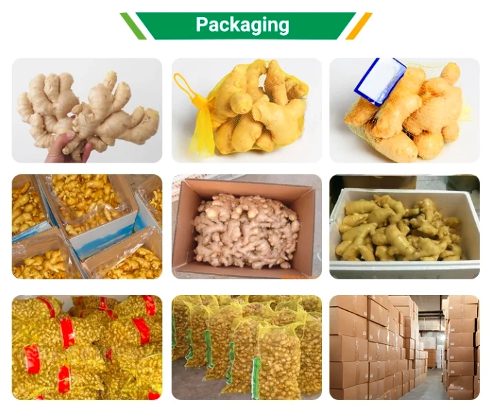 
The origin is high quality and pure natural young ginger 