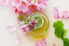 Geranium Oil