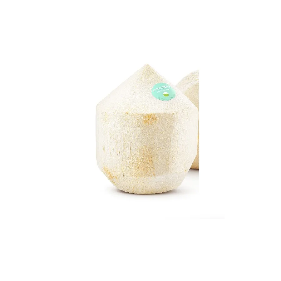 High Quality Diamond Cut Shape coconut fresh coconut young coconut- cocobe export from Thailand