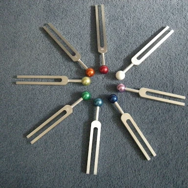 Medical Professional Tuning Fork Diagnostic Set Aluminium Tunning Diapason Surgical Forks WITH Colorful