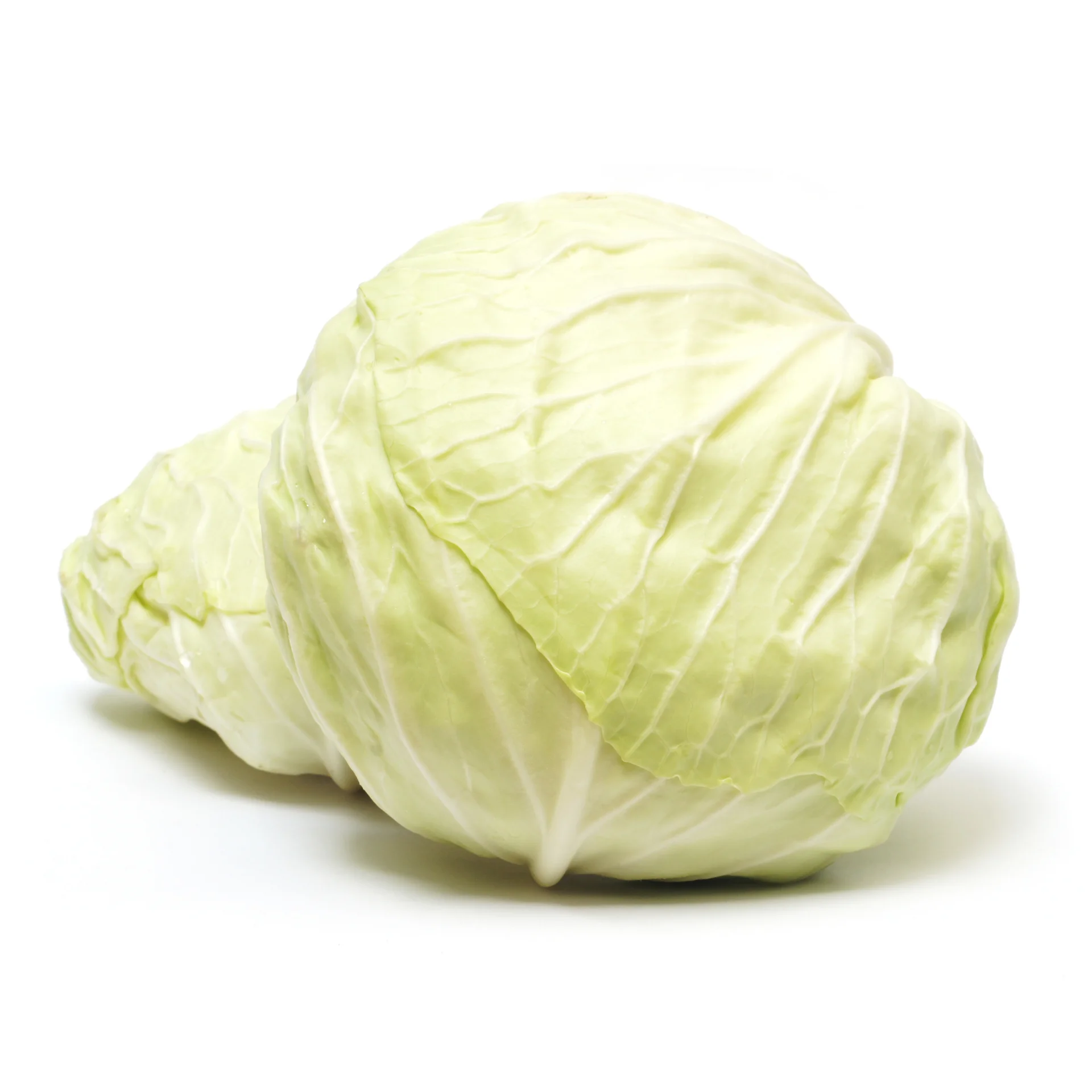 Green cabbage for export