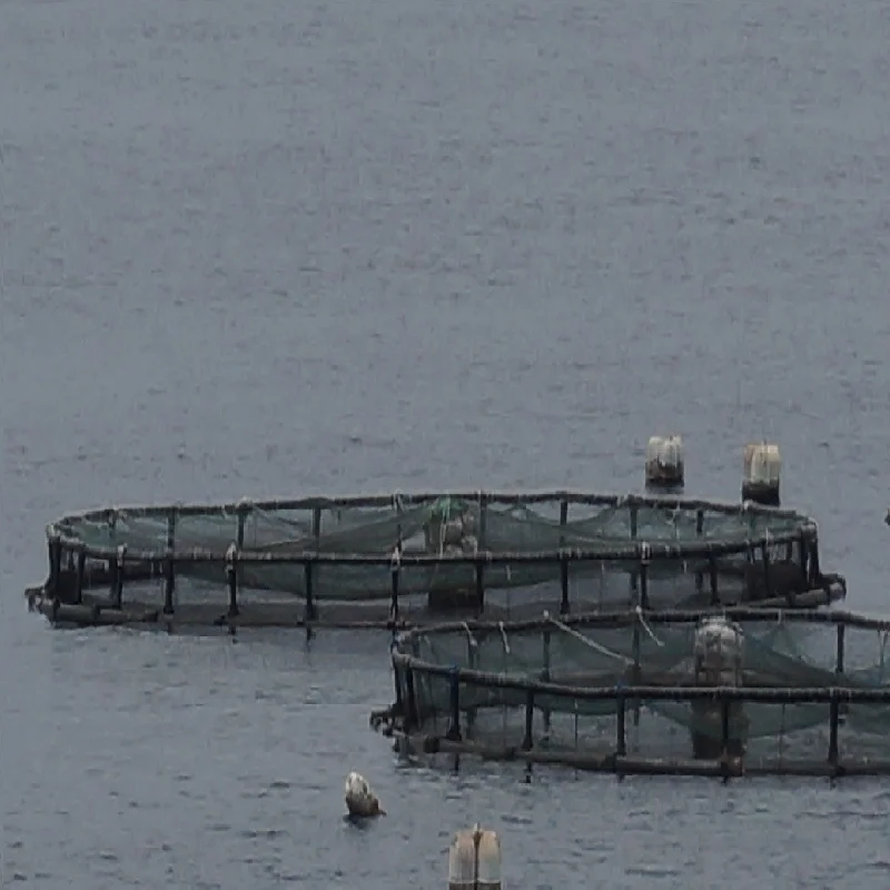 Farming Equipment Fish Cage Floating Bracket: OD200mm~OD250mm