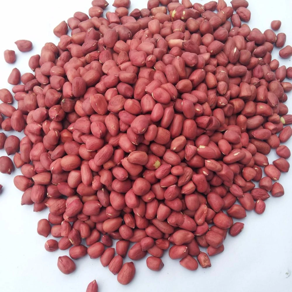 
Red Skin Peanuts / Blanched Peanut Kernels 