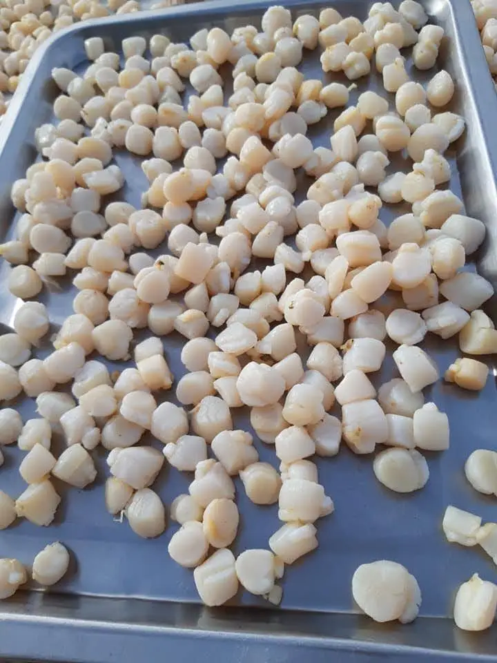 Natural Scallop meat Without Shells Dried Scallop For Cooking Soup