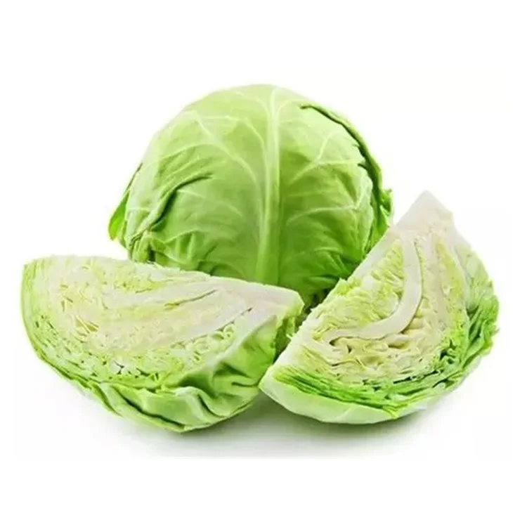 Green cabbage for export
