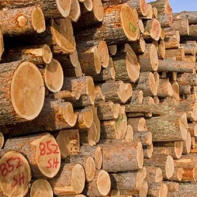 Лидер продаж эвкалиптовая древесина круглые бревна деревянная для