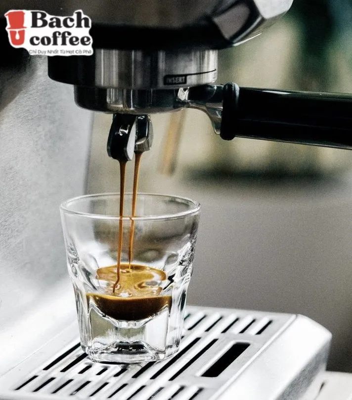  Kaffee Премиум вьетнамские цельные кофейные зерна (среднее обжарение)-100% Арабика изысканные полученные напрямую из фермы