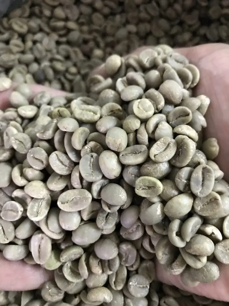 Зеленый кофе в зернах с арабикой S16/18