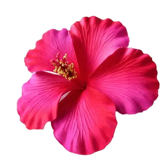 Hot Selling of All Time  Fashion Accessories Handmade EVA foam hawaiian hibiscus flower with special/Unique tattoo pattern print