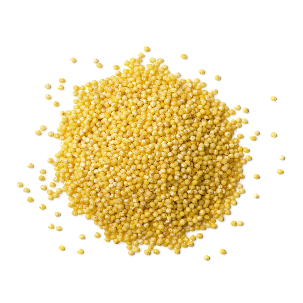 
Good quality yellow millet grain natural food, millet for sale 