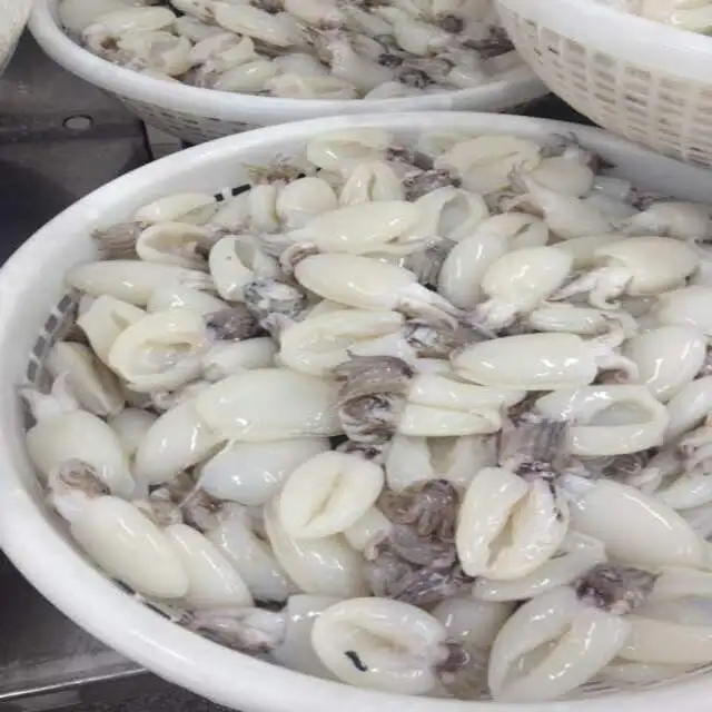
FROZEN BABY CUTTLEFISH FROM VIET NAM 