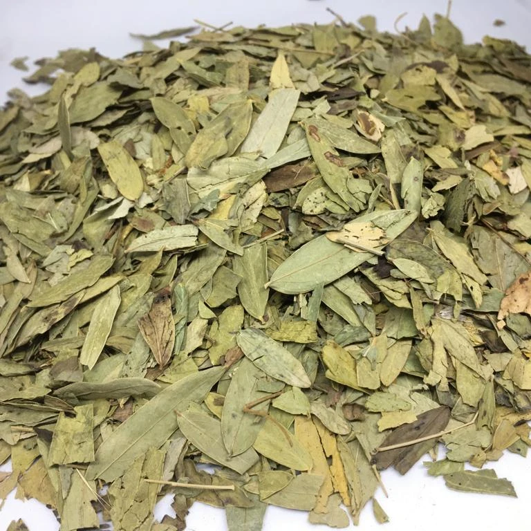 Сушеные листья сенны (кассия аустифолия)