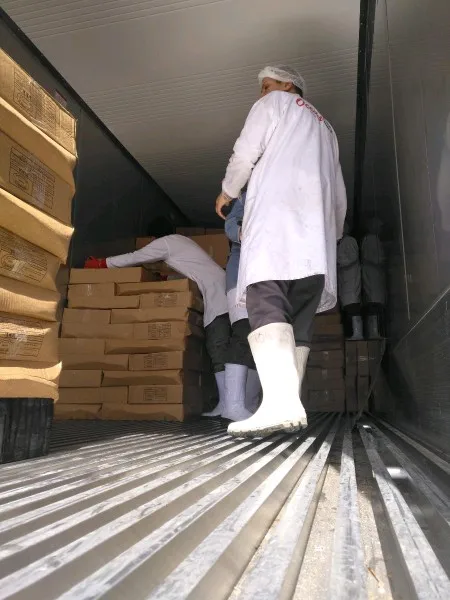 FROZEN CHICKEN PAWS JUMBO SIZE  FRESH FROZEN ALL CLEAN  AA   GRADE  39-48  G 20 KG CARTONS