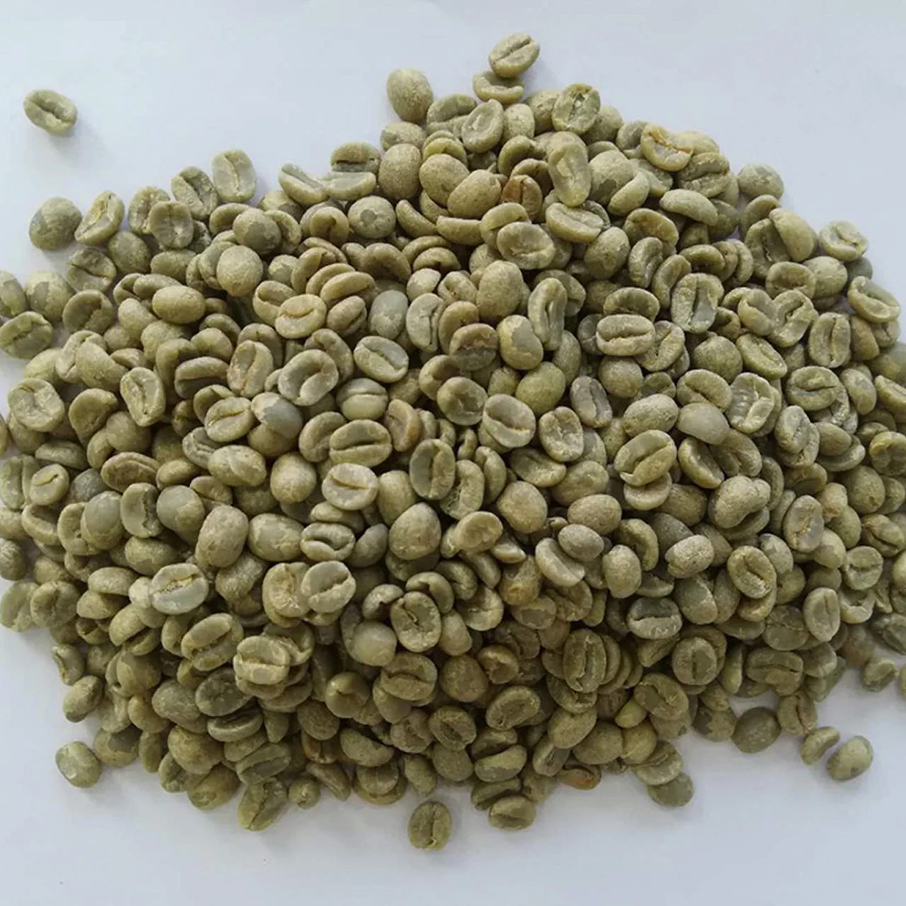 Manufacture Products Speciality Coffee Coffee Bag Vietnam Export Products Whole Bean Coffee Robusta Green Beans