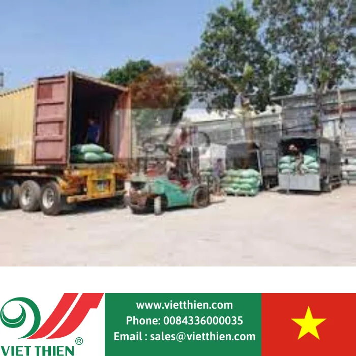  Высококачественные кофейные зерна Арабики для экспорта оптом доступны оптовой продажи по всему миру из Вьетнама