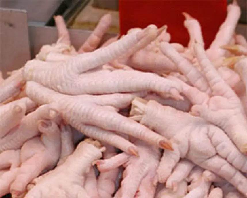
SIF Approved Frozen Chicken Feet/Paws Export to China, Vietnam, Japan, Thailand 