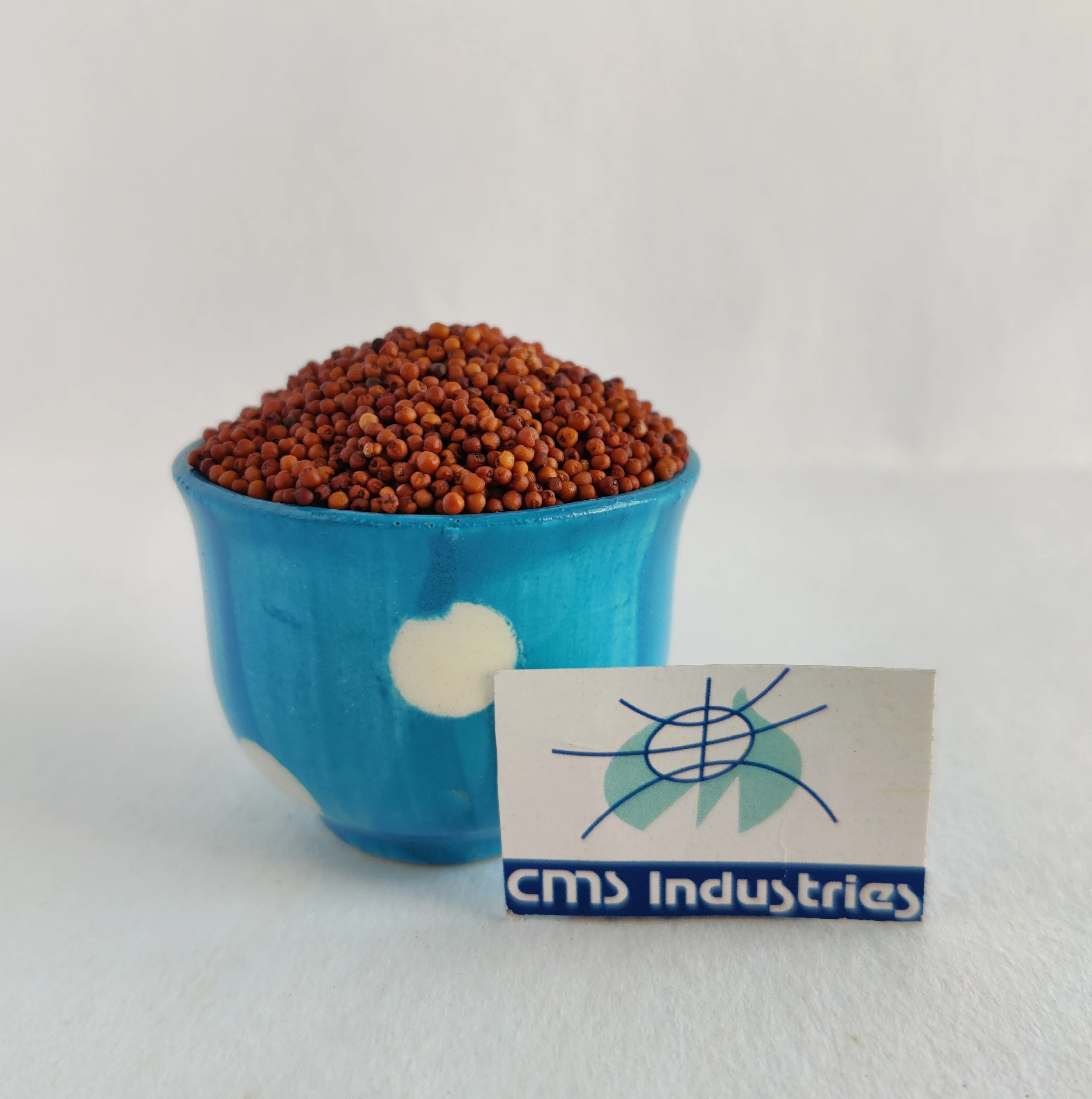 Ragi Seeds at Bulk Price