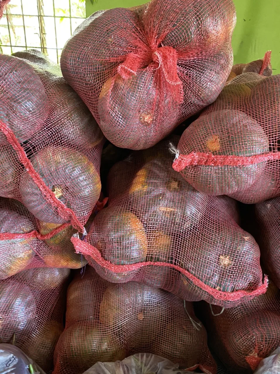 
Providing fresh Pumpkin pumpkin price from Vietnam with top quality _Vikafoods (+84983028718) 