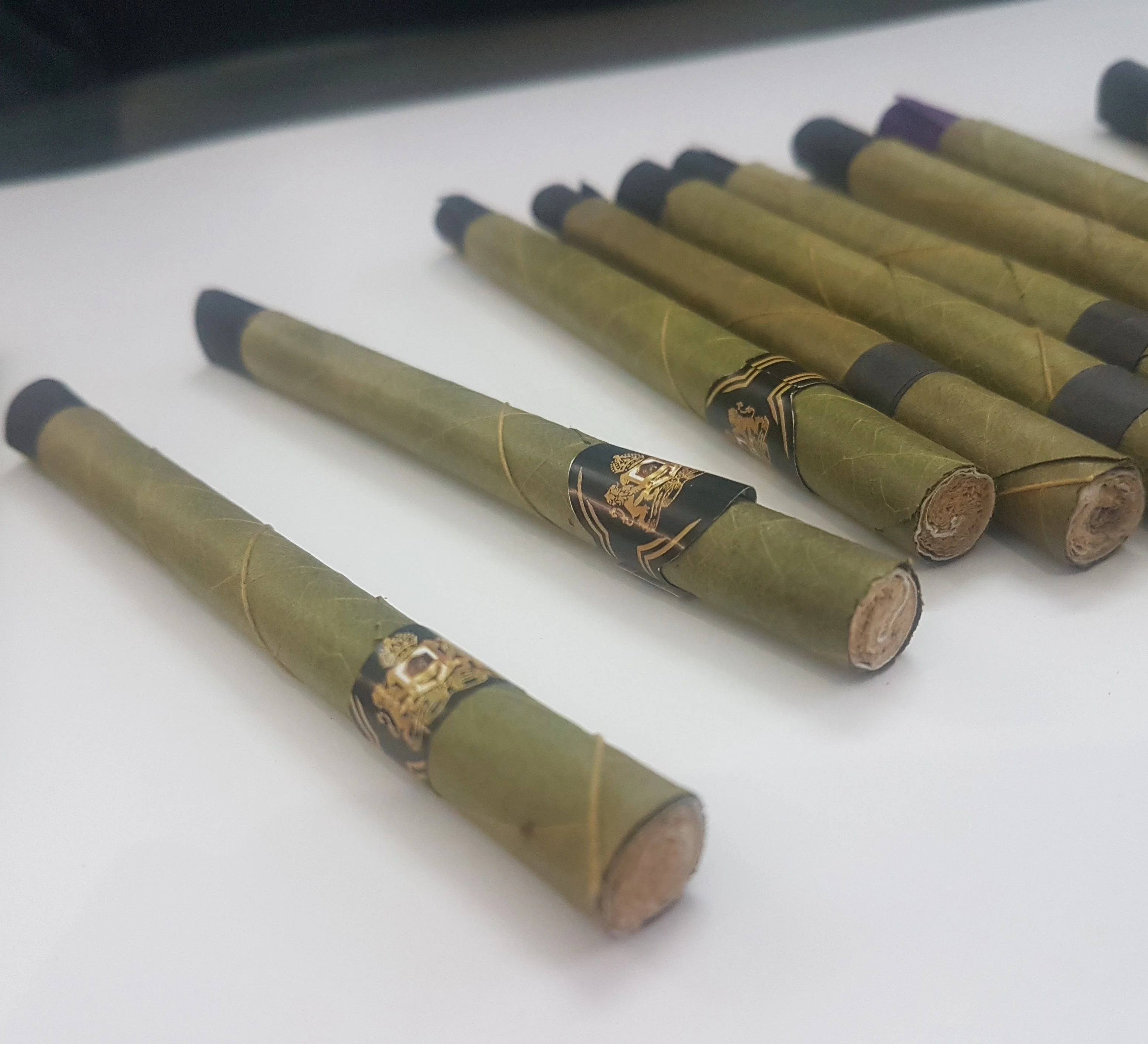 King palm leaf in your brand...jpg