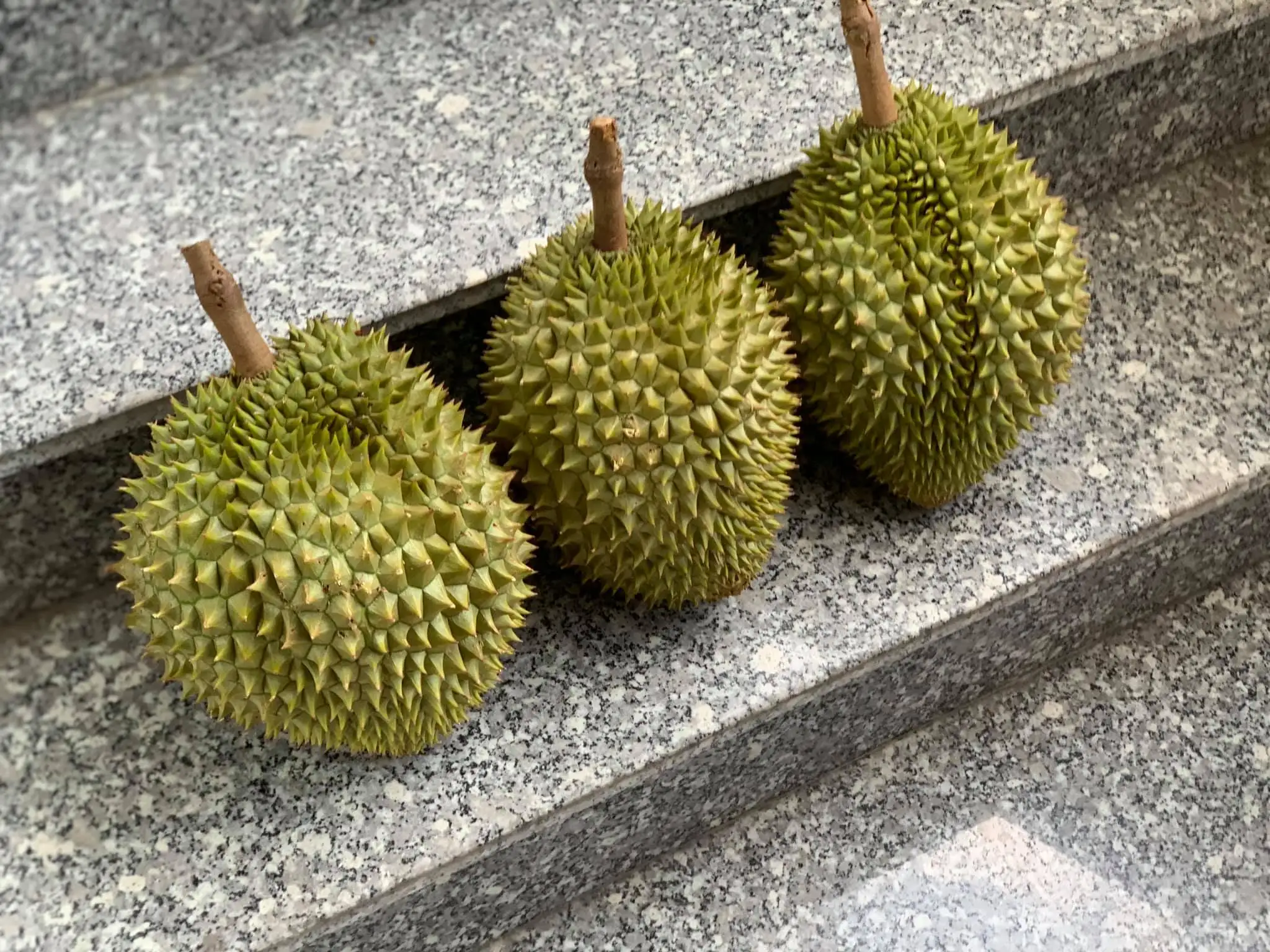 durians