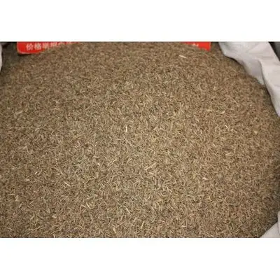 Russian Cumin Seed Exporter