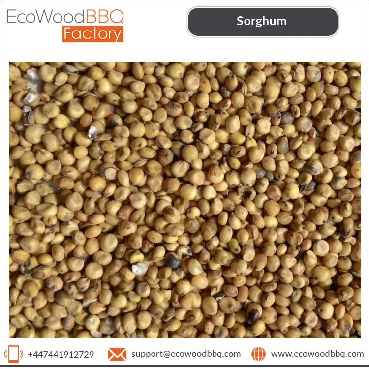 Direct Factory Price 100% Pure Natural Organic Bird Feed Sorghum Grains Kernel Seeds