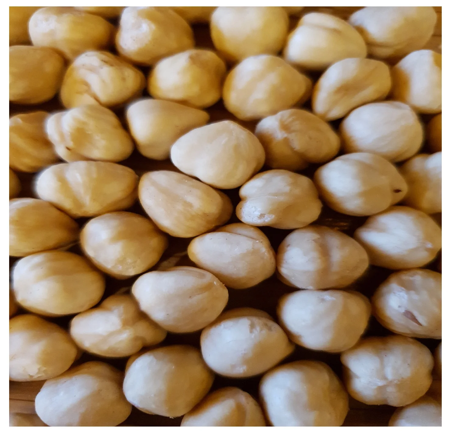 
Hazelnut 2021 new season harvest shelled raw kernel blanched chopping paste 