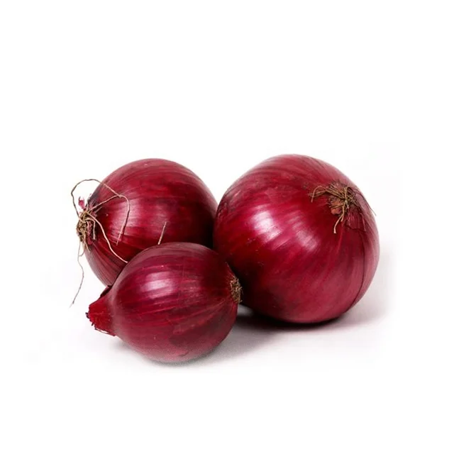 small red onion1.png