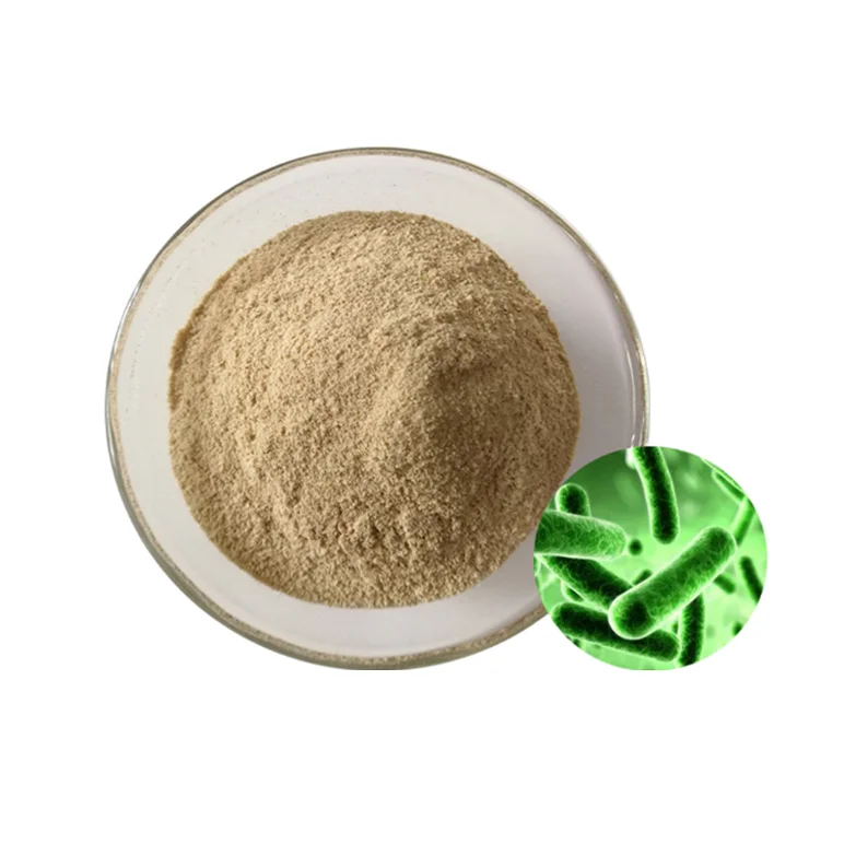 Natural Healthcare Supplement / Lactobacillus Fermentum Probiotics Powder - Beneficial For Metabolite