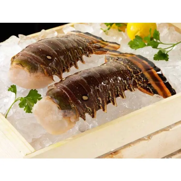 Frozen Lobster5.jpg