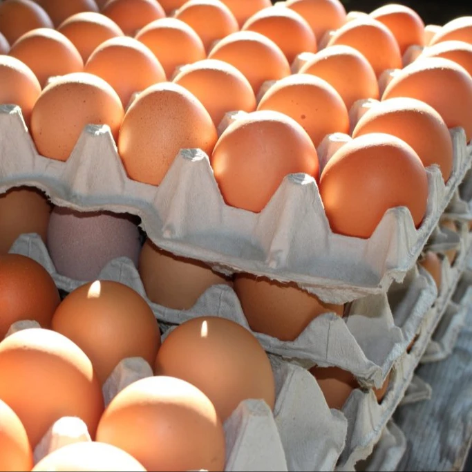 Farm Fresh Chicken Table Eggs Brown and White Shell Chicken Eggs