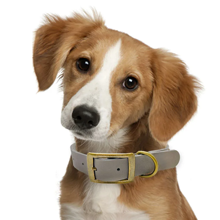 Pet Collar T16 N36
