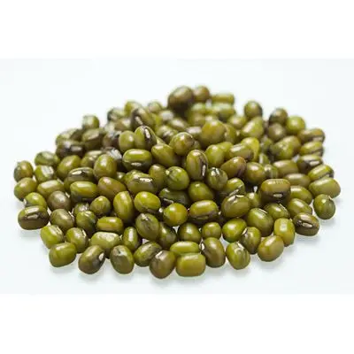 High sprouting rate green mung bean Green gram seeds Mung bean for sale