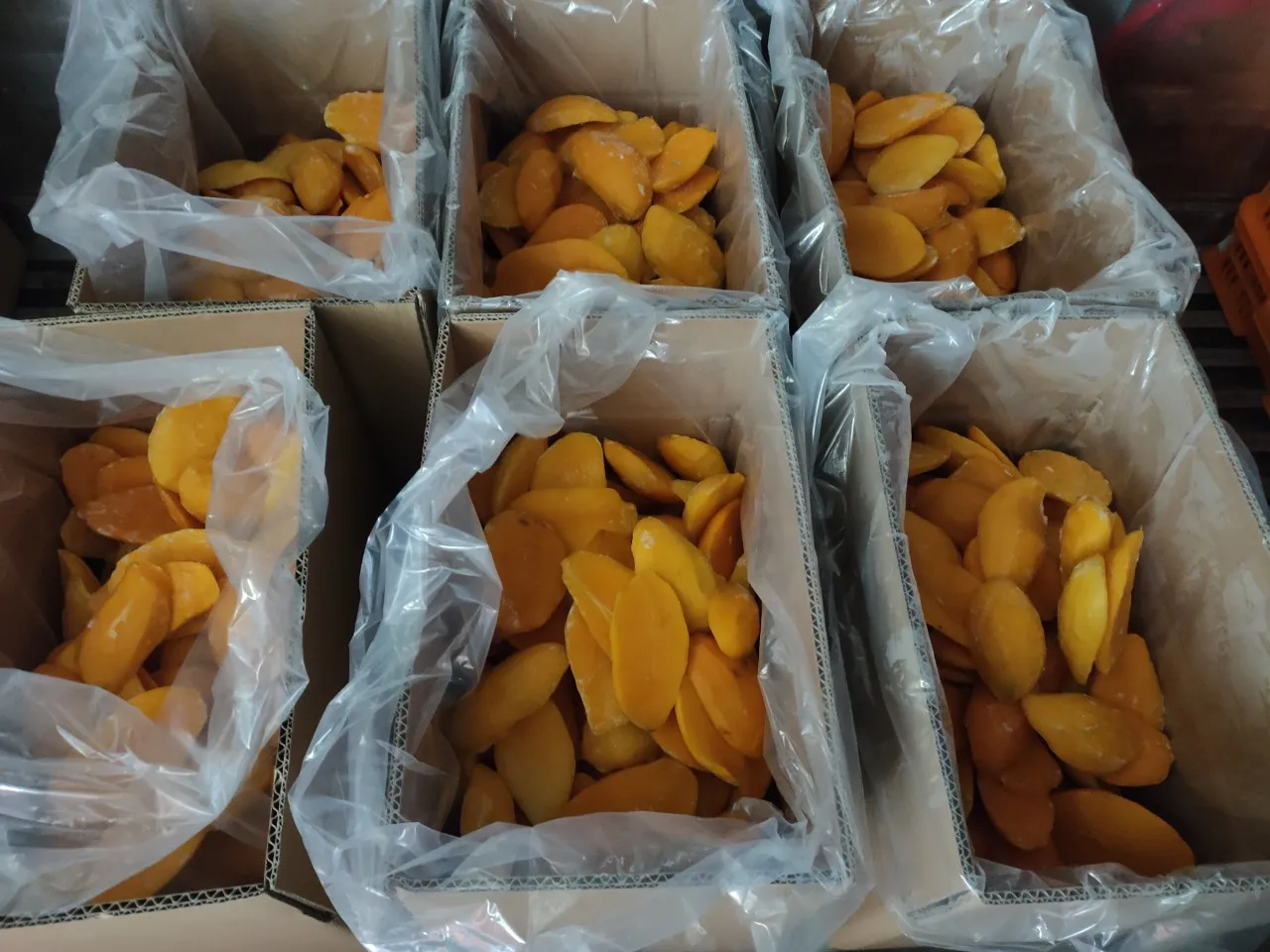 2021 HASU  For Process Deep freezing Brix 15% New  Frozen Mango Slice Shipping From Viet Nam