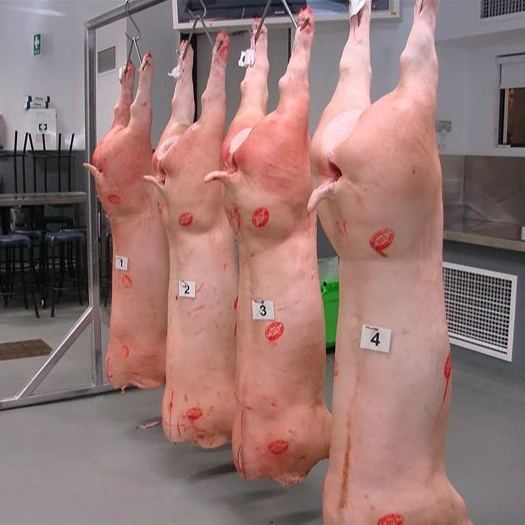 Pork Carcass / Whole Frozen Pork hind/ Pork Feet of Quality Export Grade. (10000000382000)