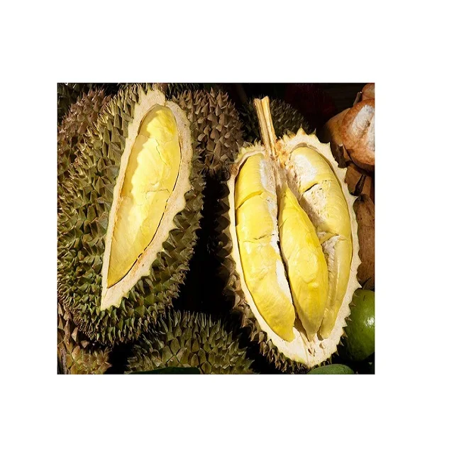 
VIETNAMESE BEST QUALITY DURIAN FRUIT 2020 - Fresh Durian / Dry Durian / Durian Frozen at Competitive Price 
