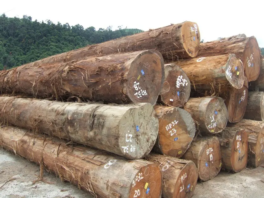 Wholesale Supplier Doussie Wood Logs For Sale In Cheap Price Bulk Doussie Wood Logs