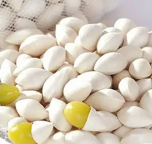 
Bai Guo Best Price dried Quality Ginkgo Nuts For Sale 