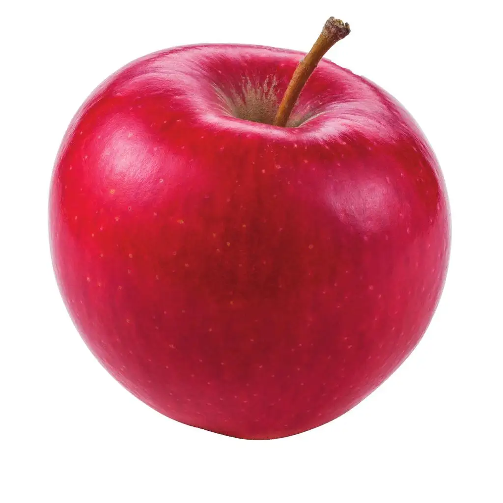 Anti-Ageing Apple Seed Oil