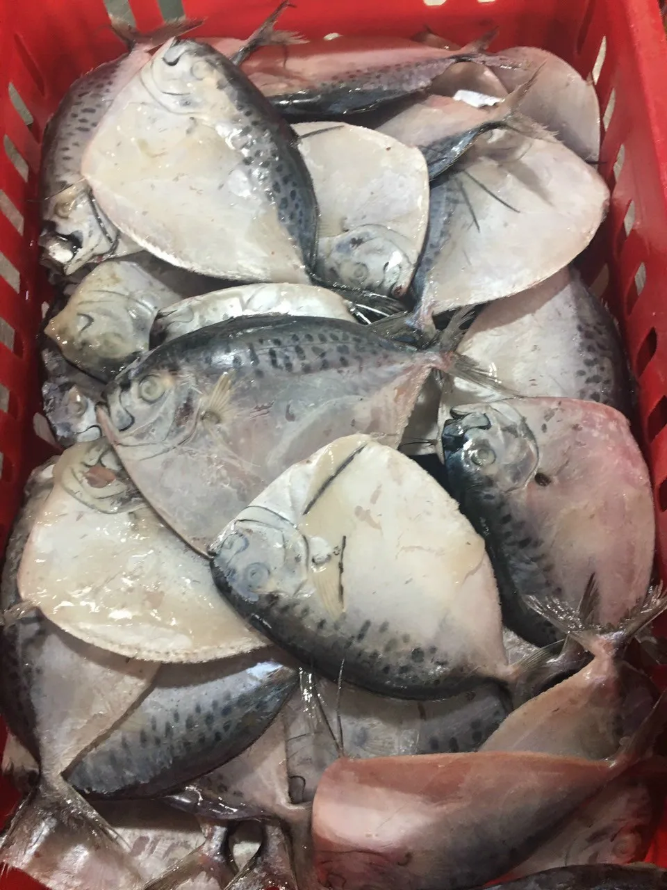  Вьетнамские морепродукты Лунная рыба