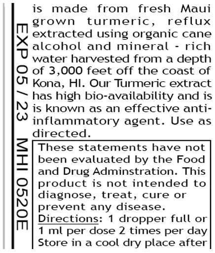 Интеллектуальные средства от минералов, органический экстракт куркумы, травяные добавки для иммунной системы, медицинская добавка
