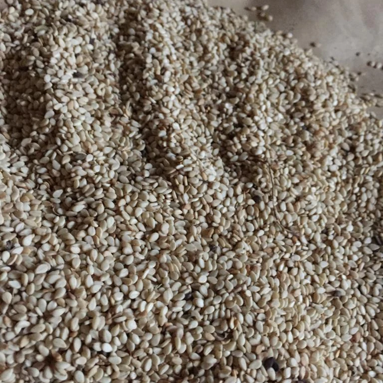 
White Sesame Seeds Till Safaid 