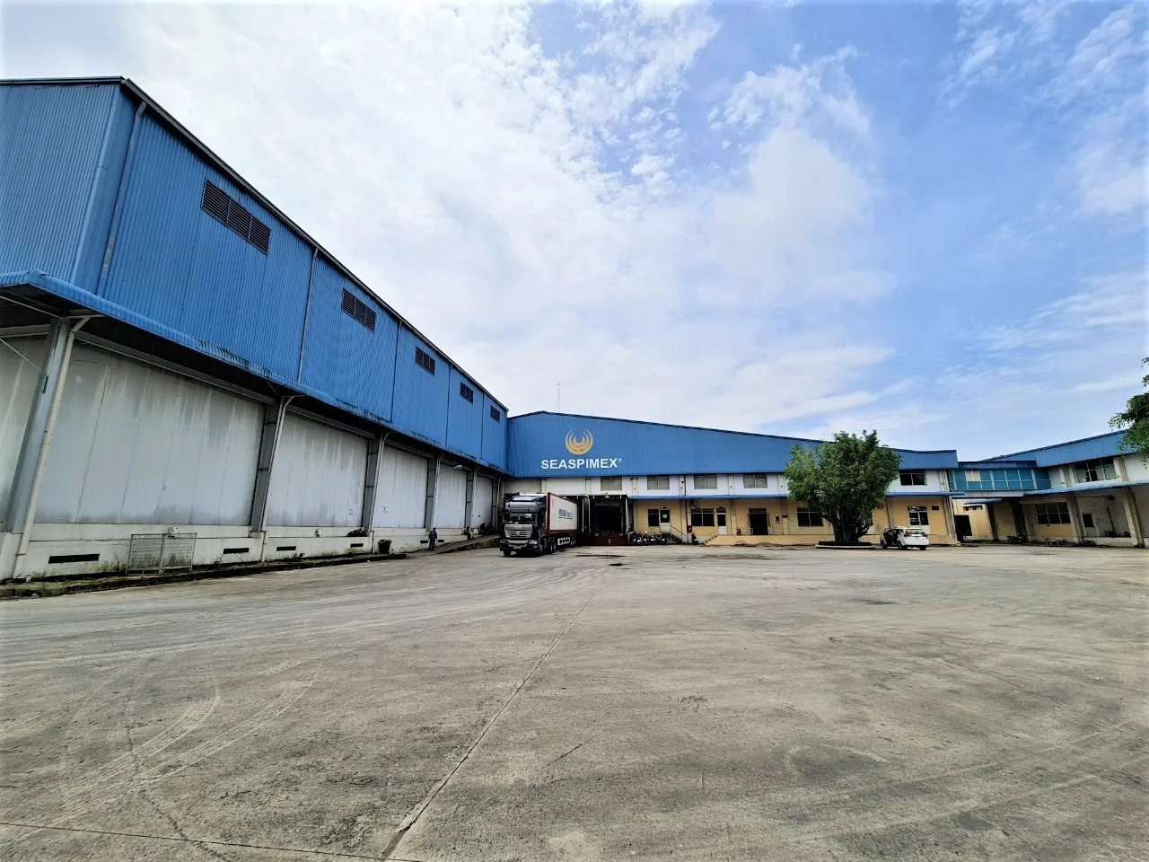 Замороженные ножки лягушки IQF/IWP без STPP, обработанные