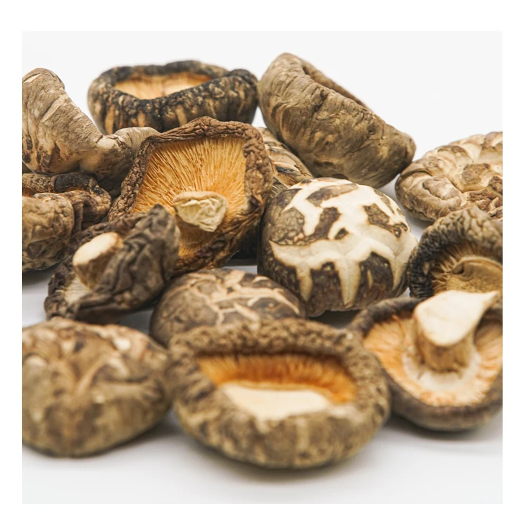 Dried Shiitake Mushroom Wholesale cheap dried shiitake mushroom-Ivy HH+84977157110