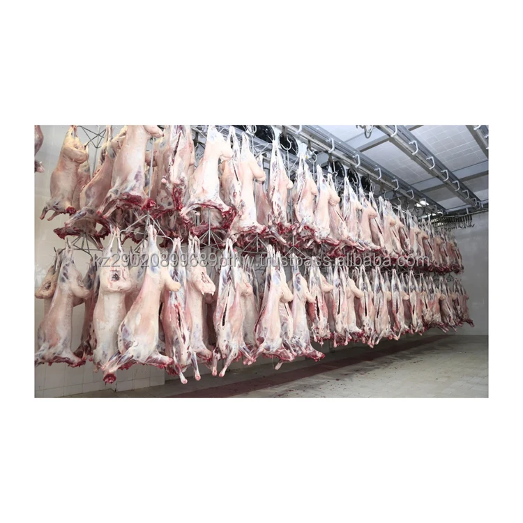 Premium sheep meat are grown in ideal conditions and consume only natural feed frozen sheep meat halal